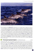 Europe's Sea Mammals - Still, R. ym. 2019